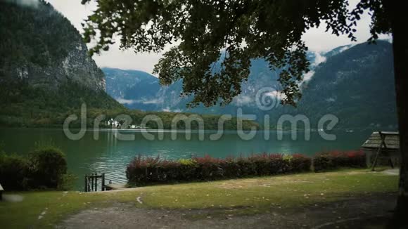 全景在霍尔斯塔特湖被包围奥地利性质中锋视频的预览图