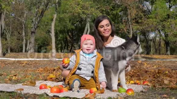 今年秋天妈妈带着儿子和宠物坐在公园里放苹果的格子地上视频的预览图
