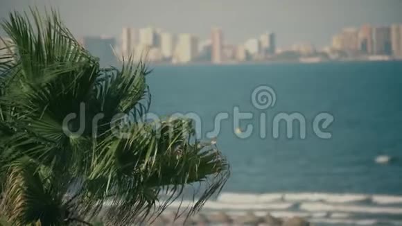 棕榈树叶在海浪和海岸城市天际线上挥舞视频的预览图