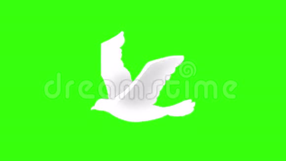 绿色屏幕上飞舞的白鸟视频的预览图