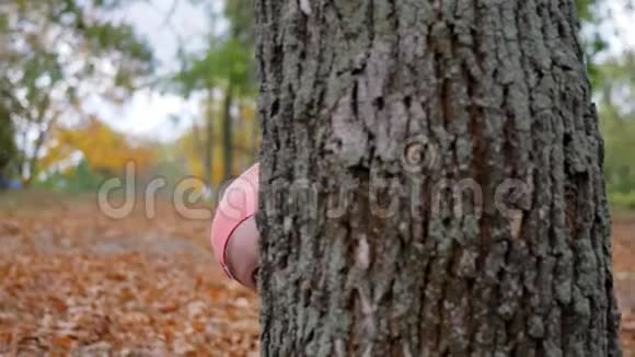 快乐的小男孩躲在公园的一棵大树后面秋天在森林里休息和散步视频的预览图