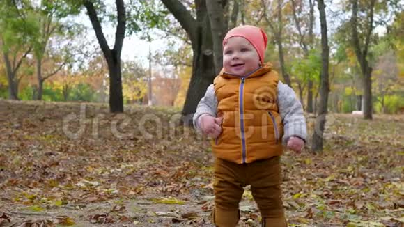 可爱的孩子站在秋天公园的枯黄树叶上在户外快乐地度过童年视频的预览图