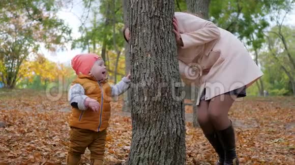 家庭游戏欢快的宝宝和妈妈在秋天黄叶的背景下在树旁玩耍视频的预览图