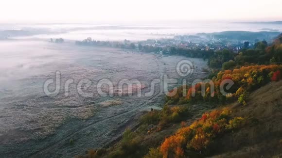 空中录像雾状秋日出摄像机开了在田野的底部有冻草道路和视频的预览图