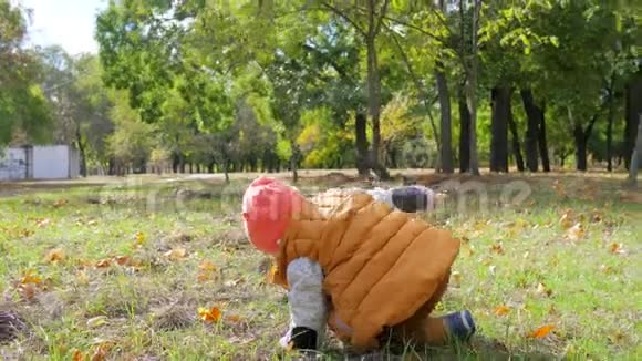 活跃的小男孩试图在户外散步在公园的草地上跌倒视频的预览图