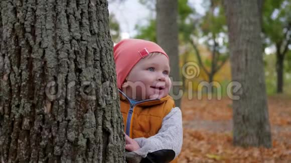 秋天的城市公园里小男孩抱着大树户外快乐的童年视频的预览图