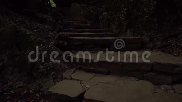 看着石头楼梯和树上移动的摄像机视频的预览图