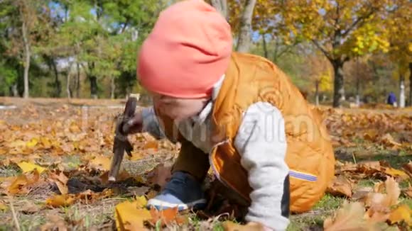 好奇的孩子手里拿着木棍在公园里秋天坐在草坪上有黄叶视频的预览图