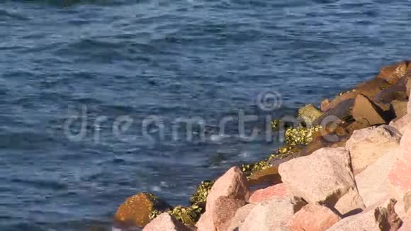 水和鹅卵石视频的预览图