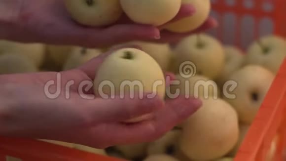 有机水果和蔬菜农民手里拿着刚收获的苹果视频的预览图
