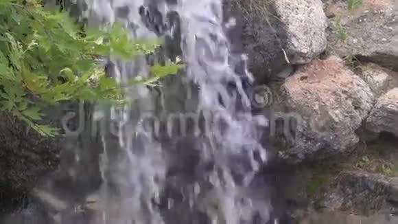 瀑布的底部视频的预览图