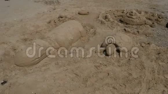 沙滩上的海龟和河马沙雕视频的预览图