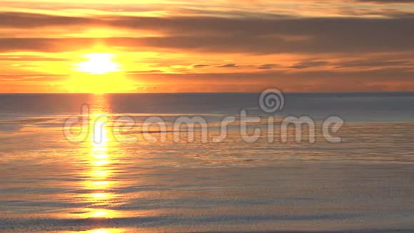 在海滩上欢乐的日落视频的预览图
