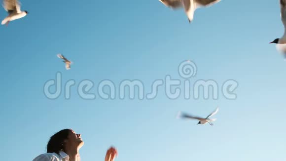 年轻的欧洲人在日落时分在晴朗的蓝天上给海鸥喂食面包美女扔食物视频的预览图