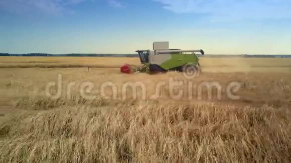 近景现代收割机在田间采集成熟黑麦视频的预览图