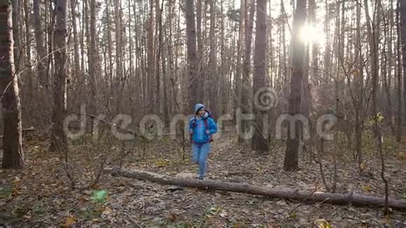 概念冬季秋季旅游和徒步旅行一个年轻的徒步旅行者在秋天的森林里徒步旅行视频的预览图