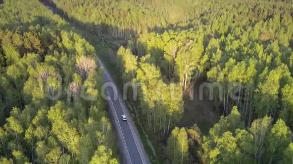 高空观景路在日落时分穿过巨大的森林视频的预览图