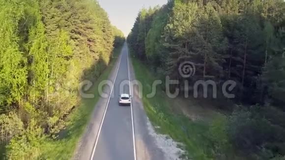 汽车沿着林荫路行驶在阳光明媚的森林边视频的预览图