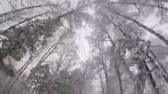 雪地摩托骑在冰冻的湖面上视频的预览图