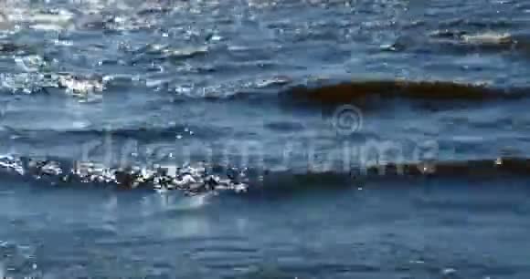海浪在奔跑视频的预览图