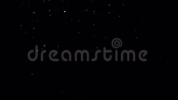 雪在夜间落在冬天的天空上视频的预览图