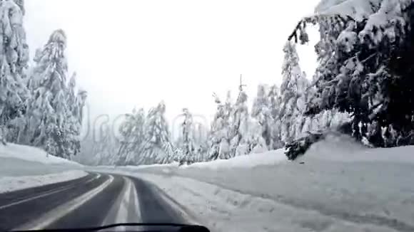 从车上看到白雪树之间的路视频的预览图
