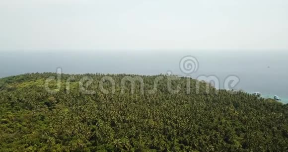 绿色棕榈树和野生热带从空中从无人机射击视频的预览图
