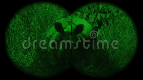 印度一角犀牛犀牛独角兽用夜视望远镜看到看着动物视频的预览图