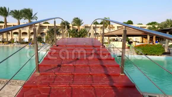 匈牙利埃及10月24日2018年Prima生活酒店酒店游泳池上美丽的红桥鸽子视频的预览图