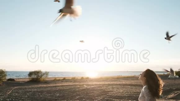 夏天美丽的欧洲女孩在海边的日落时分用面包喂海鸥结婚的年轻新娘视频的预览图