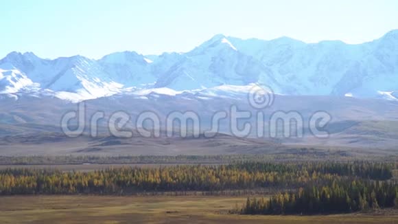 天在山里森林在前景雪山在背景视频的预览图