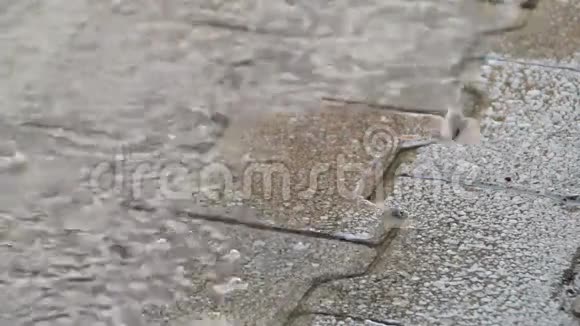 雨落在人行道上视频的预览图