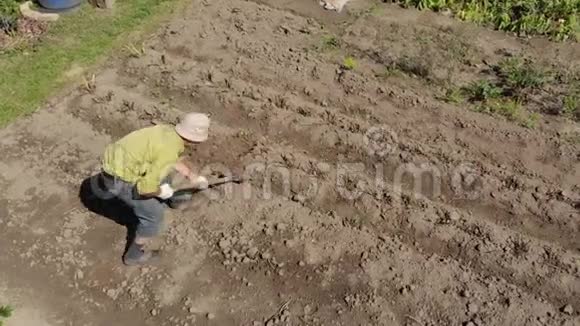 挖土豆的老人视频的预览图