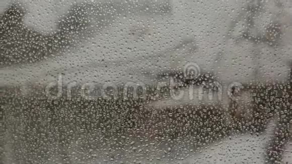 冬天的雪天气落在窗户上视频的预览图