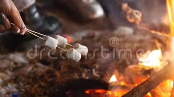 一群朋友在树林里的火边玩得很开心油炸棉花糖视频的预览图
