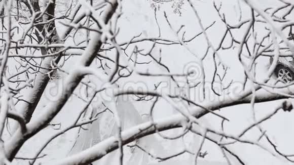 雪覆盖的汽车停在城市公园的冬季雪日从上面通过树枝视频的预览图