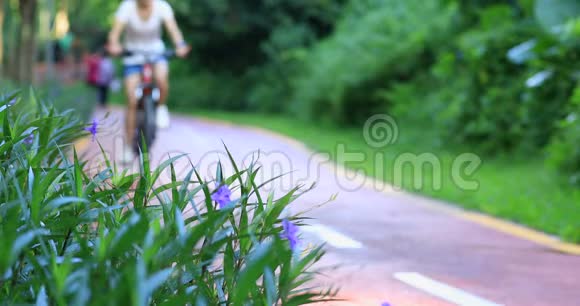 我可以和我的自行车一起飞在阳光明媚的早晨公园里年轻女子骑自行车视频的预览图