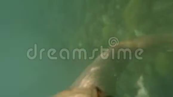 带着游泳面罩和动作摄像机的年轻女子在海水上方和水下不含甲状腺的情况下潜水视频的预览图