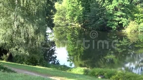 太阳景观夏日的湖面上公园里的湖视频的预览图