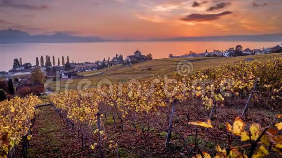 在瑞士卢特里的葡萄园和日内瓦湖上令人叹为观止的日落秋天的季节即将过去视频的预览图