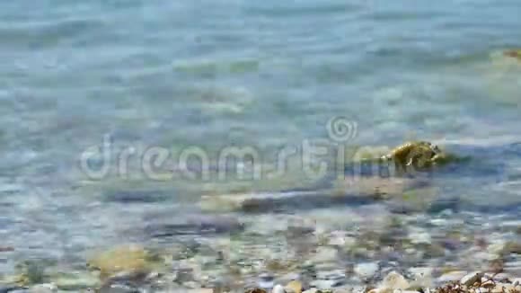 海水冲洗海滩上的鹅卵石视频的预览图