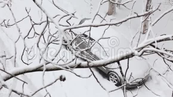 雪覆盖的汽车停在城市公园的冬季雪日从上面通过树枝视频的预览图