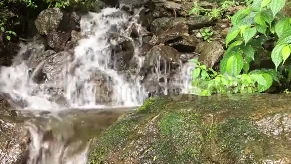 非常美丽的瀑布绿叶和潮湿的石头天然水从尼泊尔赫兰布在时间流逝视频的预览图