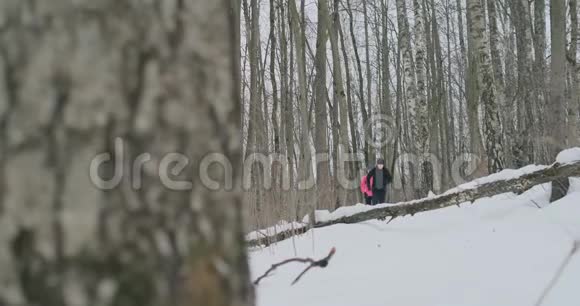 阳光明媚的冬天早晨一对年轻健康的年轻夫妇带着运动服在森林里奔跑跳跃视频的预览图