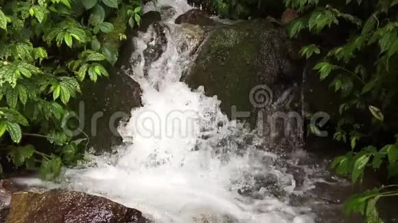 非常美丽的瀑布绿叶和潮湿的石头天然水从尼泊尔赫兰布在时间流逝视频的预览图