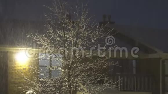 夜里点着灯笼冬天落雪视频的预览图