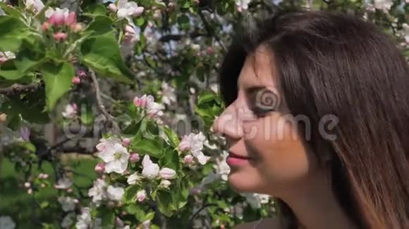 特写白种人年轻女子在花园里嗅着盛开的苹果树的花朵视频的预览图