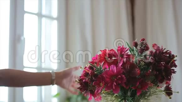 花瓶里漂亮的花视频的预览图