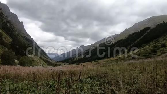 傍晚时分落在北高加索的敦拜山区雨前中森林峡谷视频的预览图