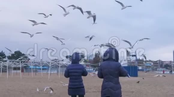 冬天两个女人在沙滩上喂鸟海鸥视频的预览图